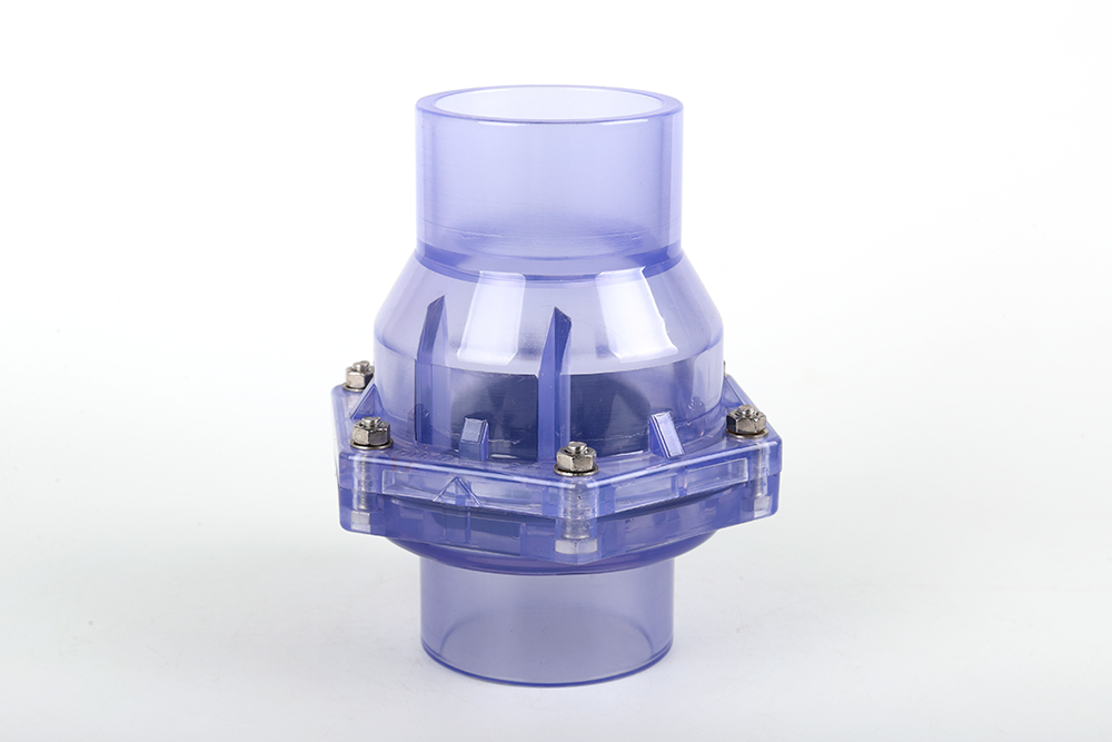 昌邑透明翻板式止回阀